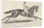 Refraction, the winner of 'The Oaks' by John Frederick Herring Snr