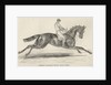 Refraction, the winner of 'The Oaks' by John Frederick Herring Snr