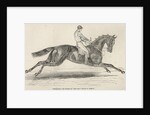 Refraction, the winner of 'The Oaks' by John Frederick Herring Snr