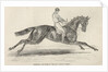 Refraction, the winner of 'The Oaks' by John Frederick Herring Snr
