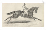 Refraction, the winner of 'The Oaks' by John Frederick Herring Snr