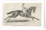 Refraction, the winner of 'The Oaks' by John Frederick Herring Snr