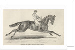 Refraction, the winner of 'The Oaks' by John Frederick Herring Snr
