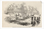 The Deer Shooting at Gotha: Deer breaking through the Chasseurs and Keepers by English School