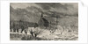 The disastrous floods in Austria-Hungary: View of Raab lately inundated by the Danube by English School