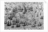 The Capture of Cadiz, 21 June 1596 by English School