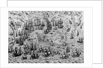 The Capture of Cadiz, 21 June 1596 by English School