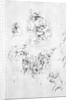Studies for a Madonna with a cat, c.1478-80 by Leonardo da Vinci