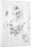 Studies for a Madonna with a cat, c.1478-80 by Leonardo da Vinci