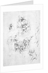 Studies for a Madonna with a cat, c.1478-80 by Leonardo da Vinci