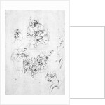 Studies for a Madonna with a cat, c.1478-80 by Leonardo da Vinci