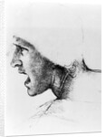 Study for the head of a soldier in 'The Battle of Anghiari', c.1504-05 by Leonardo da Vinci