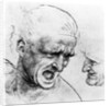 Studies for the heads of two soldiers in 'The Battle of Anghiari', c.1504-05 by Leonardo da Vinci