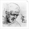 Studies for the heads of two soldiers in 'The Battle of Anghiari', c.1504-05 by Leonardo da Vinci