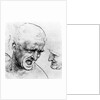 Studies for the heads of two soldiers in 'The Battle of Anghiari', c.1504-05 by Leonardo da Vinci
