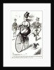 Cartoon of a Lady on a Velocipede, 1869 by American School