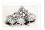 New Pas de Quatre, by Mdlles. Taglioni, C. Grisi, L. Grahn, and Cerito, at her Majesty's Theatre by English School