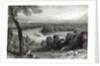 The Thames from Richmond Hill by Myles Birket Foster