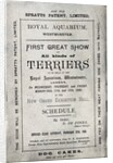 Poster advertising the Allied Terrier Club Show at the Royal Aquarium, Westminster in 1886 by English School
