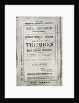 Poster advertising the Allied Terrier Club Show at the Royal Aquarium, Westminster in 1886 by English School