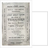 Poster advertising the Allied Terrier Club Show at the Royal Aquarium, Westminster in 1886 by English School