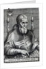 Pope Julius II by Raphael (1483-1520) (after)