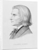 Franz Liszt by Wilhelm von Kaulbach