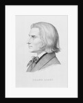 Franz Liszt by Wilhelm von Kaulbach