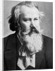 Johannes Brahms, 1879 by Austrian Photographer