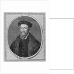 Sir Thomas Smyth by Hans Holbein the Younger