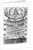 The Great Chain of Being from 'Retorica Christiana' by Didacus Valades, printed in 1579 by Spanish School