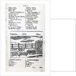 Plant Husbandry from 'Orbis sensualism pictus' by Johann Amos Comenius, published c.1689 by English School