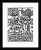 Tending Vines from 'Livre des prouffits champetres' by Petrus de Crescentiis, edition published in 1529 by French School