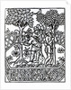 Tending Vines from 'Livre des prouffits champetres' by Petrus de Crescentiis, edition published in 1529 by French School