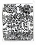 Tending Vines from 'Livre des prouffits champetres' by Petrus de Crescentiis, edition published in 1529 by French School