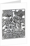 Tending Vines from 'Livre des prouffits champetres' by Petrus de Crescentiis, edition published in 1529 by French School