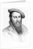 Sir Thomas Wyatt by Hans Holbein the Younger