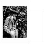 Leslie Stephen, 1900 by English Photographer