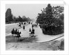 The Bois de Boulogne, Paris, c.1900 by French Photographer