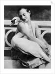 Anna Pavlova with her pet swan Jack, c.1905 by English Photographer
