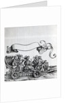 Scene from Maximilian's Triumphal Procession, c.1516-18 by Hans Burgkmair