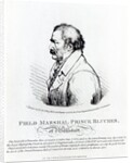 Field Marshal Prince Blucher of Wahlstadt, engraved by J. Vendramini, 1814 by Peter Eduard (after) Stroehling