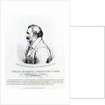 Field Marshal Prince Blucher of Wahlstadt, engraved by J. Vendramini, 1814 by Peter Eduard (after) Stroehling