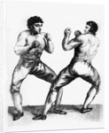 Boxing Match Between Daniel Mendoza and Richard Humphreys, 29th September 1790 by Charles Reuben Ryley