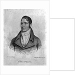 Tom Spring by George Sharples