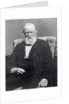 Theodor Storm, c.1886 by German Photographer