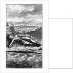 Gulliver captured by the Lilliputians by English School