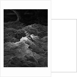 Ship in stormy sea, 1876 by Gustave Dore