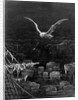 The albatross is shot by the Mariner by Gustave Dore