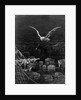 The albatross is shot by the Mariner by Gustave Dore